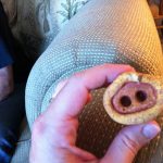 Photo-Jul-27-2-39-14-PM